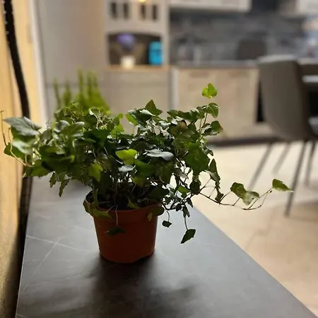 Attico Con Terrazzo Fibi Ortona