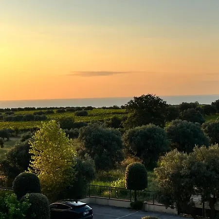 Attico Con Terrazzo Fibi *