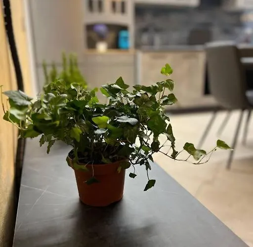 Attico Con Terrazzo Fibi Ортона