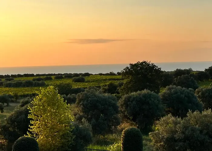 Attico Con Terrazzo Fibi *